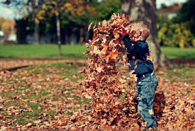 15 Simple Fall Traditions to Start With Your Kids