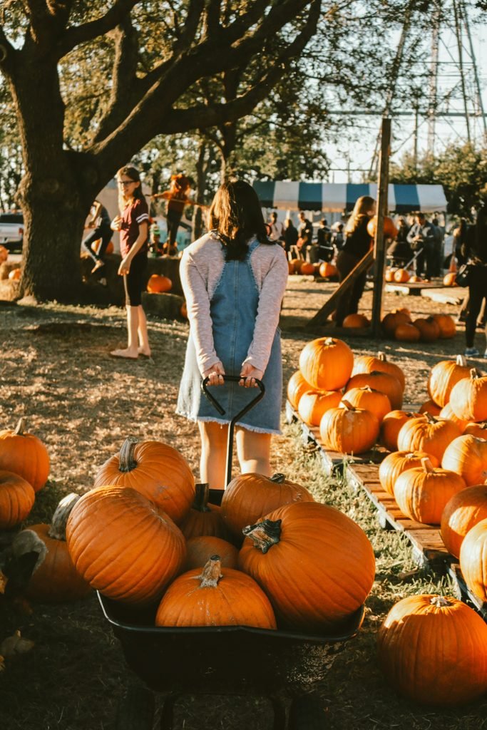a girl pulling a wagon of pumpkins at a pumpkin patch