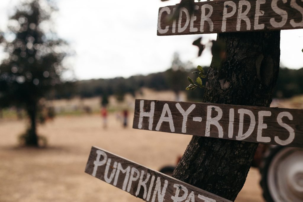 pumpkin patch signs